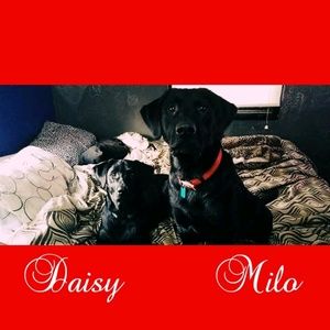 Meet your Posher, Matt